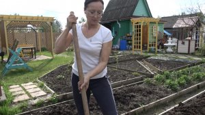 6 соток  11 мая 2026 года. Удобрила голубику. Посеяла редис. Посадила землянику Руяна на геотекстиль