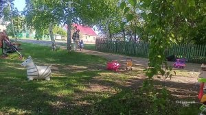 Ева катается на самокате.