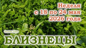 БЛИЗНЕЦЫ | ТАРО прогноз на неделю с 18 по 24 мая 2026 года