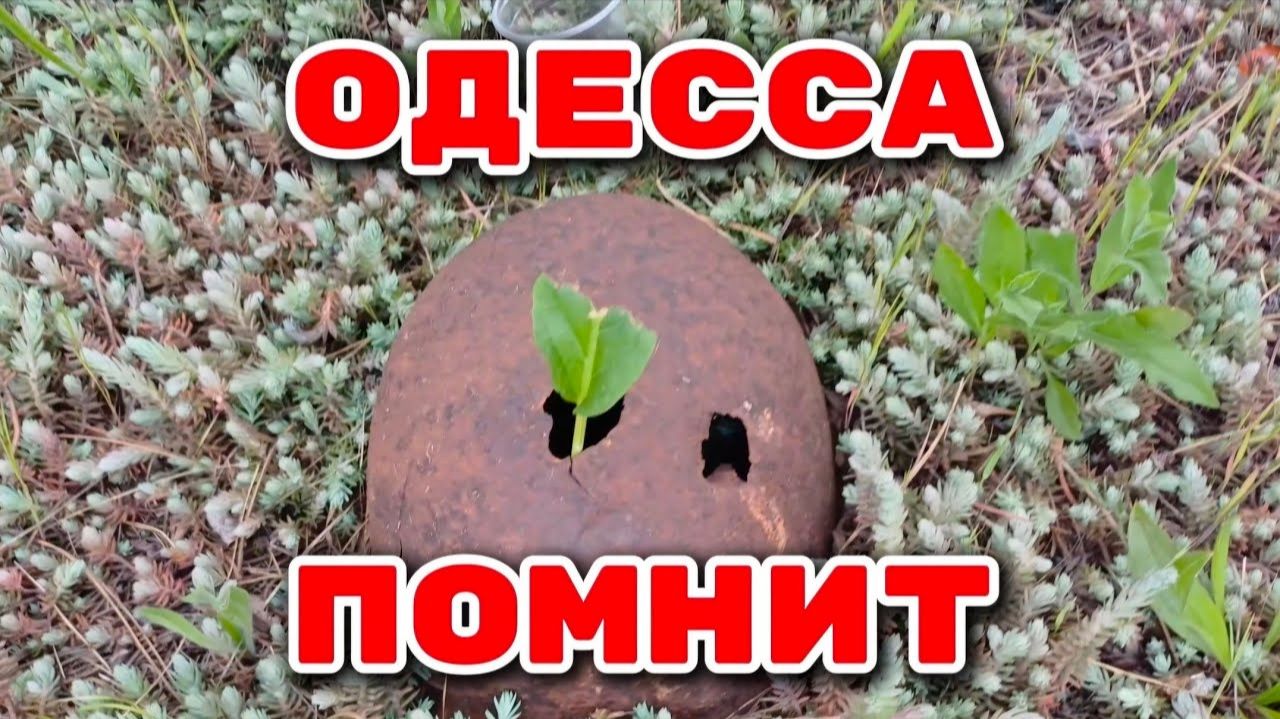 Одесса на Связи!!! Иностранное мнение NEMO