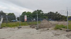 Гуляю с собакой/Готовлю/Ежедневный влог
