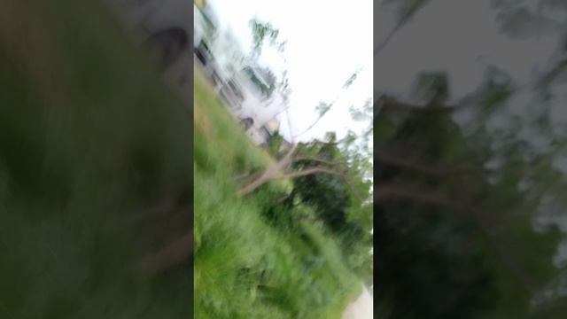 всё пошло не по плану смотреть онлайн