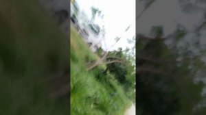 всё пошло не по плану