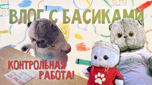 ВЛОГ С БАСИКАМИ | Басики пишут итоговые тесты