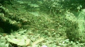 1000014991.mp4Волга гл.2м.15.05.2026г.