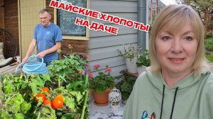 Майские заботы:работа в саду не кончается Помогаем рассаде после высадки 🌱Цветы Покупки