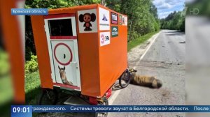 Путешественник Саша Конь погиб под Брянском при атаке БПЛА: кадры с места трагедии.