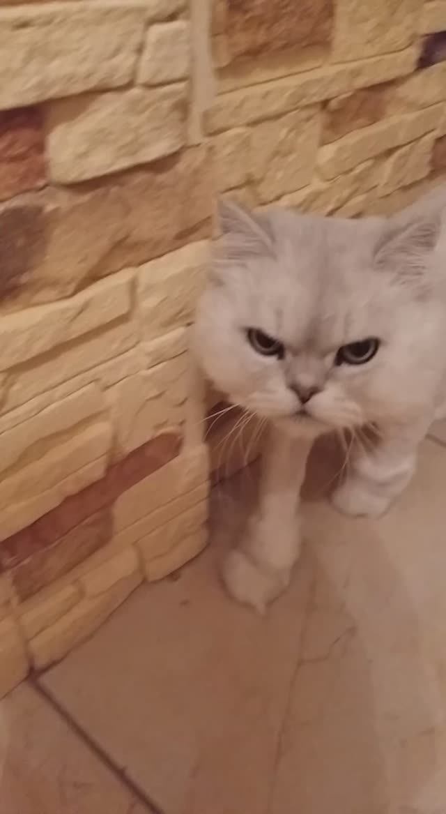 🤗 смотреть онлайн