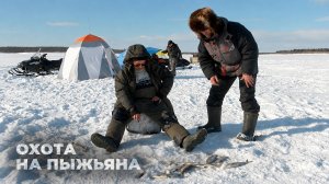 Охота на пыжьяна | С полем!