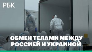 Кадры обмена телами между Россией и Украиной