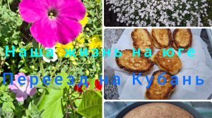 13-14 мая/ Ремонт машины/ Дожди/Повелика проснулась🫣/Оладьи/ Окрошка/Живём и работаем на Кубани/