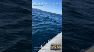 AMG RIB 520 на Баренцевом море