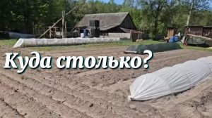 ОГОРОД ВЫШЕЛ ИЗ-ПОД КОНТРОЛЯ, ПЕРЕБОРЩИЛИ С ПЛОЩАДЯМИ НА ХУТОРЕ