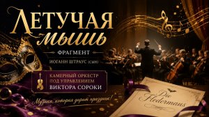 🎶 «Летучая мышь» — фрагмент | Камерный оркестр Туапсе 🎻🎶