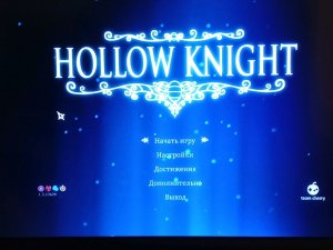 Hollow knlght