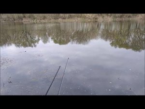 Рыбалка на озере Рылеево, мкр. Малышево, г. Воронеж, 25.04.2026 года