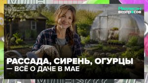 Огород на балконе: садовод отвечает дачникам | Миллион вопросов — Москва 24