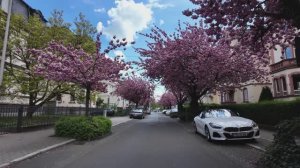 🇩🇪 Фридберг, Германия - Средневековый немецкий город / 2026 / 4K / 2160p