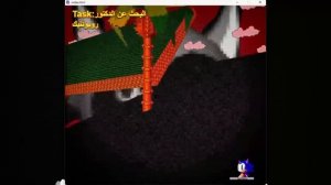 Sonic Amazing Playground.exe - Both Endings