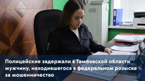 Полицейские задержали в области мужчину, находившегося в федеральном розыске за мошенничество