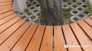 1000186648.mp4 Симферополь.Городской сад.Что за веселые чертики по всему городу?😂