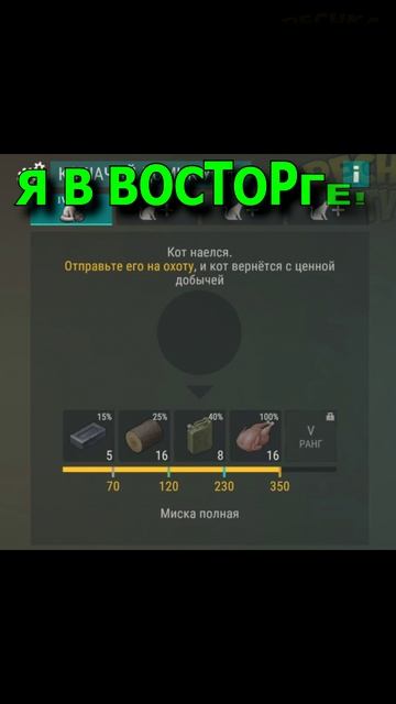 50 КОТОВ НА БАЗЕ?! 😱 ОБНОВА LDOE