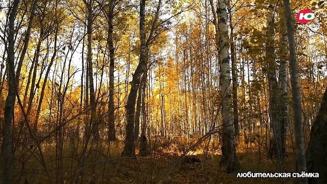 ЛЮБИШЬ ГЕОГРАФИЮ И ХОЧЕШЬ УПРАВЛЯТЬ ДРОНАМИ?