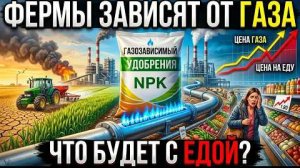 Почему сельское хозяйство зависит от газа больше, чем кажется — что будет, если удобрения подорожают