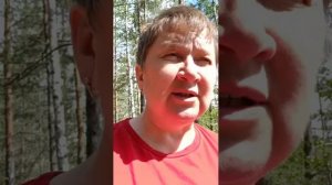 15.05.26. Пророчества в Жизни Божьего Народа 🕊️🌎🍇🫓🪷☀️❤️🔥🩸🌾🙏🏻👑