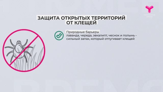 Быть во всеоружии смотреть онлайн