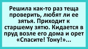 Решила как-то теща зятьев проверить... | Анекдоты смешные | Юмор