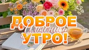 УТРЕННЯЯ ПОЧТА! АКАДЕМИК НЕ СДАЛ ЕГЭ!!! ВАСЕВСКИЙ С Г.... НА ГОЛОВЕ!