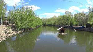 ВЛОГ.ЕДЕМ В ЗООПАРК.ПРОБУЮ КИТАЙСКИХ УЛИТОК ВПЕРВЫЕ В ЖИЗНИ.