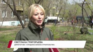 Деревья дружбы