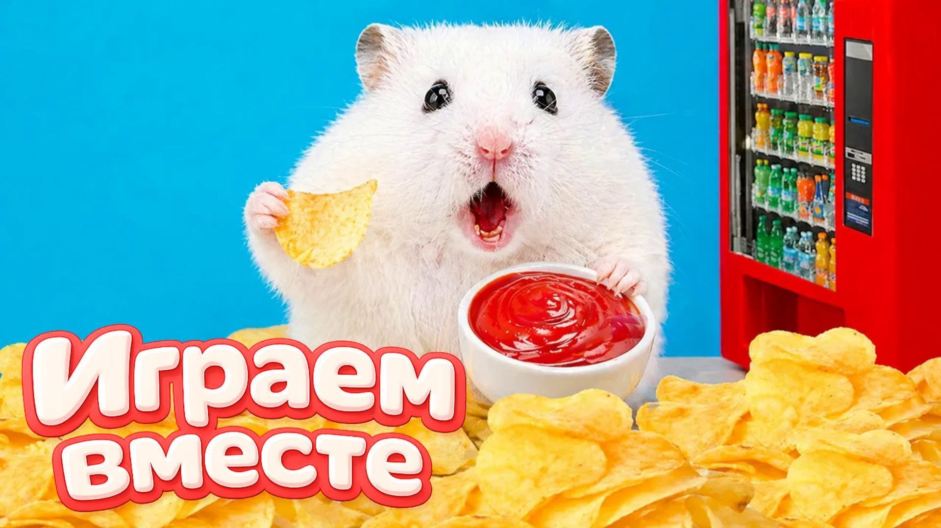 НОВЫЙ ОПАСНЫЙ ЛАБИРИНТ ДЛЯ ХРАБРОГО И УМНОГО ХОМЯКА ЧАСТЬ 3 🐹 ВИДЕО ДЛЯ ДЕТЕЙ !