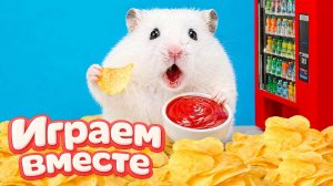 НОВЫЙ ОПАСНЫЙ ЛАБИРИНТ ДЛЯ ХРАБРОГО И УМНОГО ХОМЯКА ЧАСТЬ 3 🐹 ВИДЕО ДЛЯ ДЕТЕЙ !