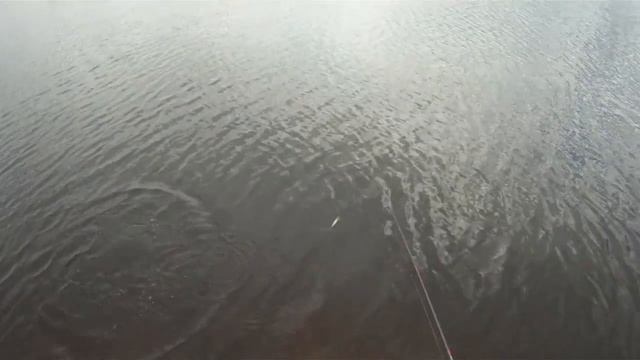 Приколы с Гугуном
