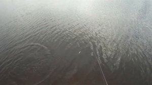 Приколы с Гугуном