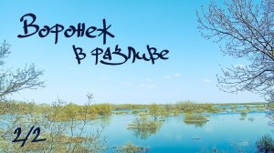 [2/2] сплав по реке Воронеж май 2026