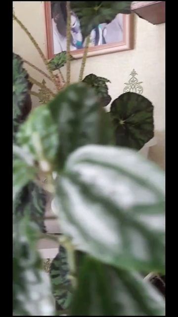 1000118723.mp4