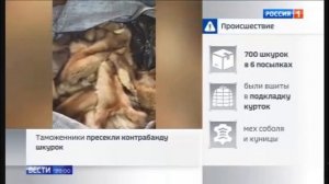Телеканал «Россия 1», программа «Вести. Москва», 13.05.2026