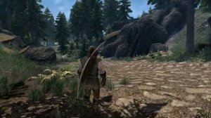 Relax Walking Through Tamriel (Skyrim Music Ambience)