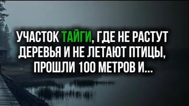 ШОКИРУЮЩАЯ Находка в Тайге. Мёртвая Зона