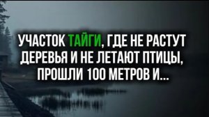 ШОКИРУЮЩАЯ Находка в Тайге. Мёртвая Зона