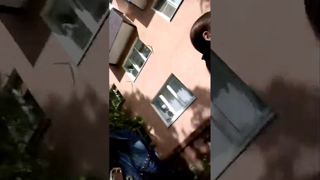 шоппинг 🛒 в магазине светофор 👌