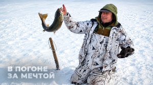 В погоне за мечтой | С полем!