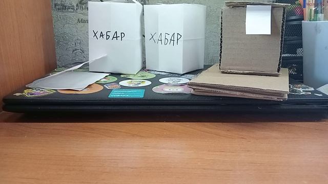 Самодельный Stalker.