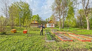 Жизнь в тихой деревне и работа на земле. Засаживаю огород и питомник. Пришло время трудиться в саду
