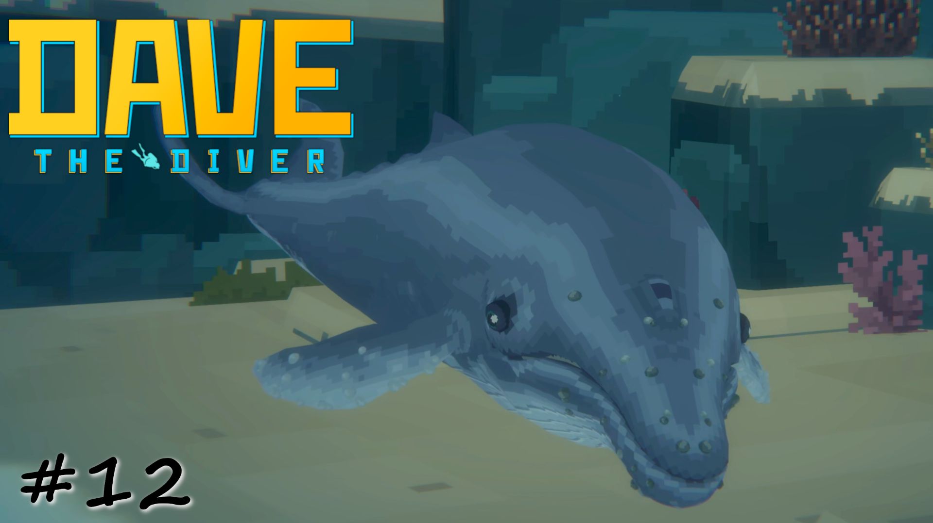 Спасение напуганного китенка - #12 - Dave The Diver