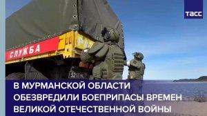 В Мурманской области обезвредили боеприпасы времен Великой Отечественной войны